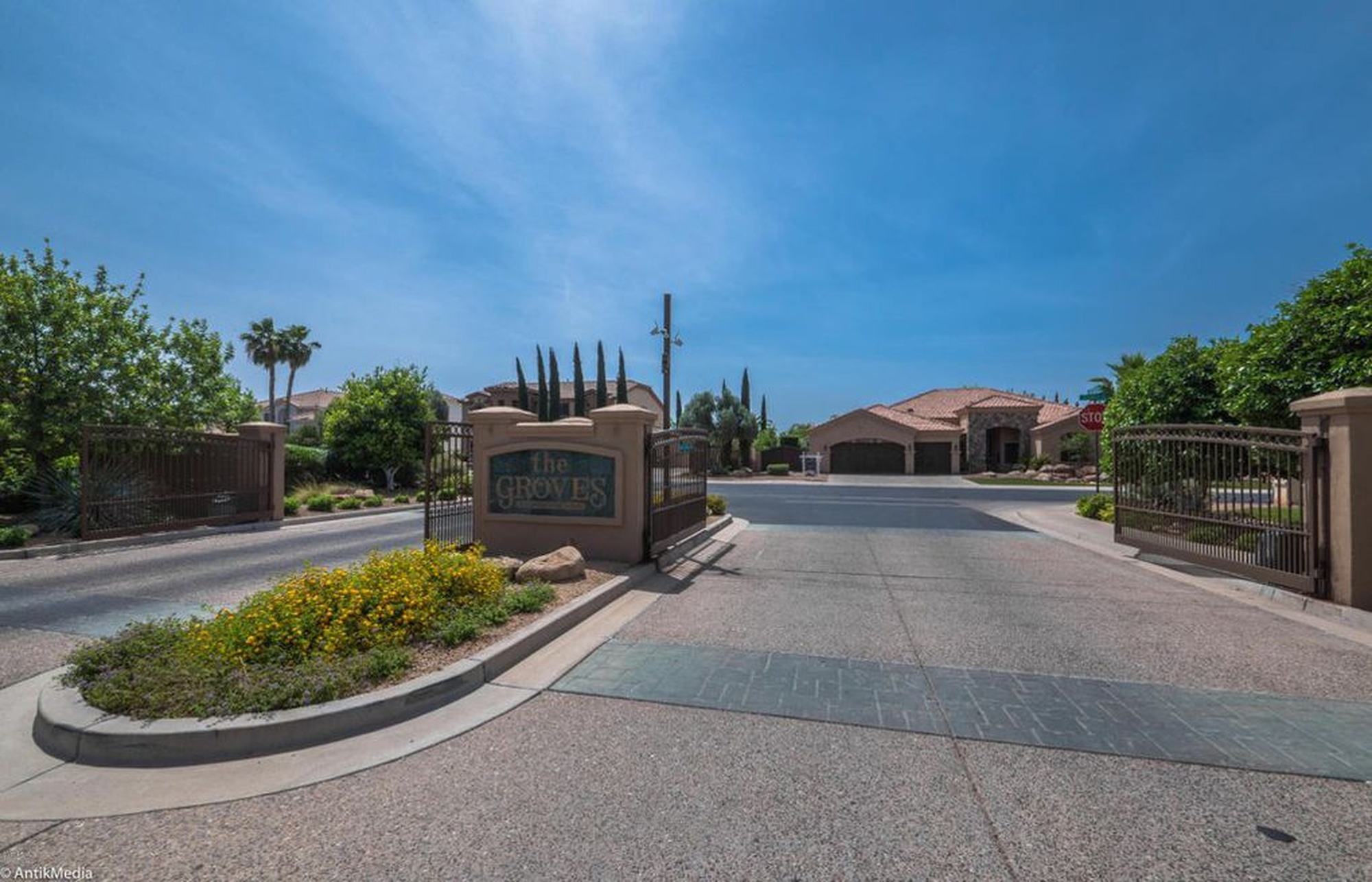 Groves at Superstition Ranch